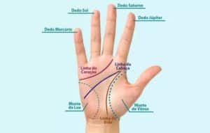 Aplicativos que leem as linhas das mãos