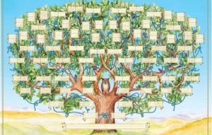 Revelará tu historia familiar