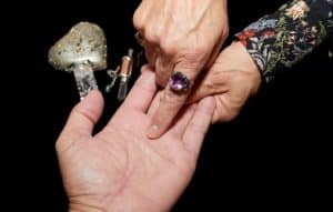 App que te lee la mano y descubre el futuro