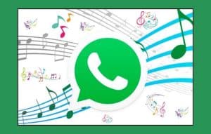 Cómo añadir una foto con música a tu WhatsApp status
