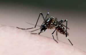 Utiliza el teléfono móvil como repelente de mosquitos