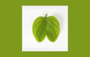 3 pasos para ser un ex-diabético