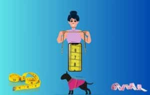 Medidas precisas en la palma de la mano