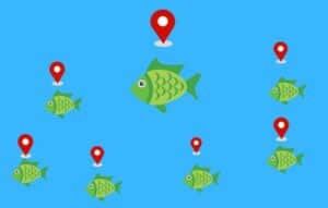 Descubre el Secreto de la Pesca con GPS para localizar peces