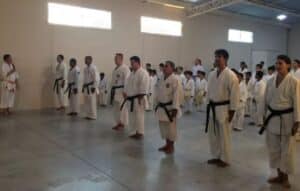 Descubre el Poder del Karate desde Casa