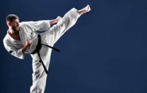 Domina karate con Treino de Karate