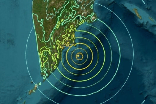 Tsunamis: Protección Inmediata