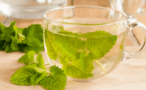 Infusiones: Vitalidad Masculina Natural