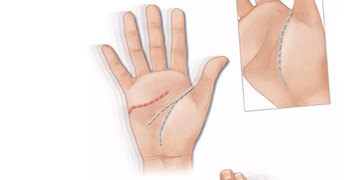 Aplicaciones Móviles para Leer la Mano