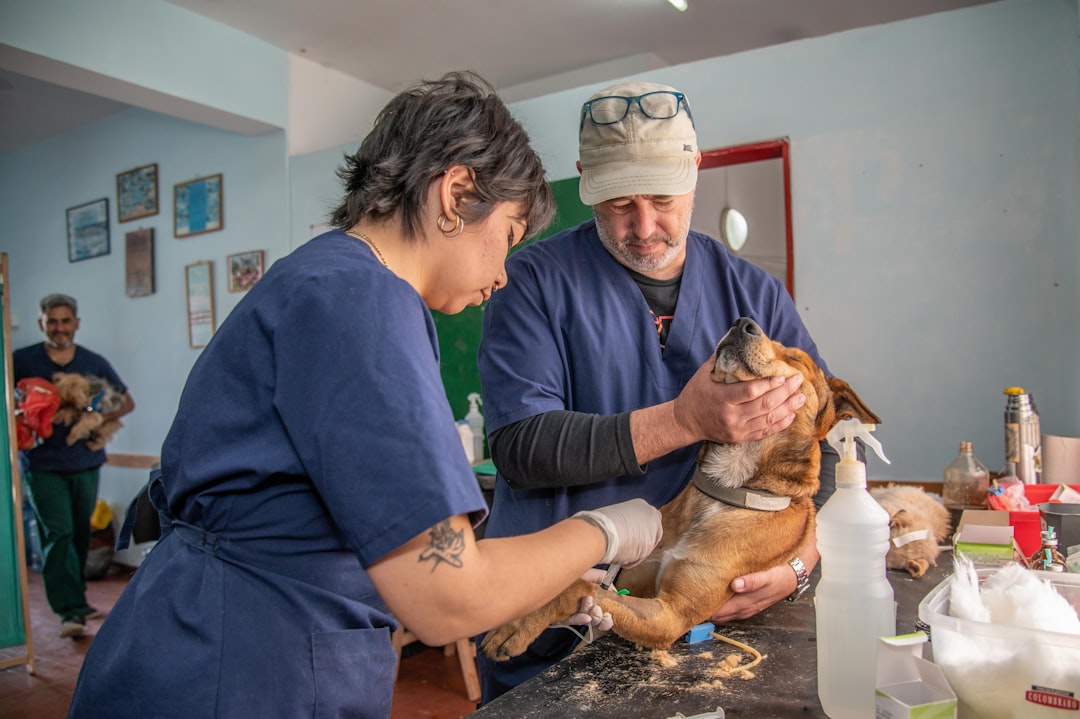 Aplicación para Pesar Mascotas: Guía Completa y Práctica